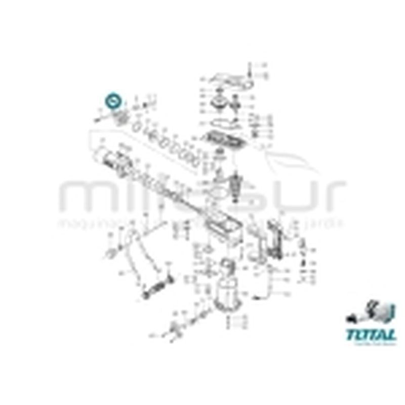 SET 6 TORNILLOS BLOQUEO PORTA-CINCEL TH215456 - motoscamaralweb.com