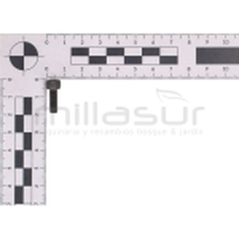 TORNILLO TRINQUETE TPB2202 (10) - motoscamaralweb.com