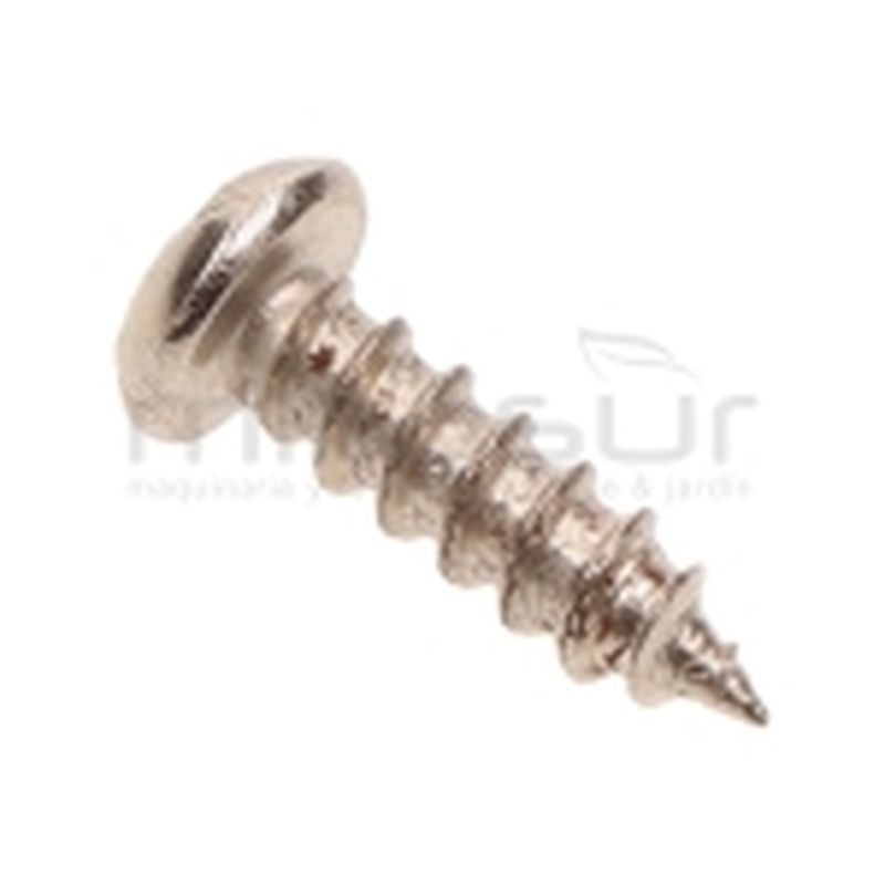 TORNILLO PLATEADO CARCASAS TPB2502 (37) - motoscamaralweb.com