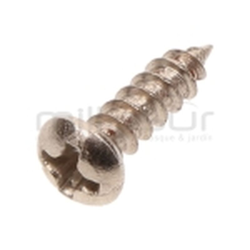 TORNILLO PLATEADO CARCASAS TPB2502 (37) - motoscamaralweb.com