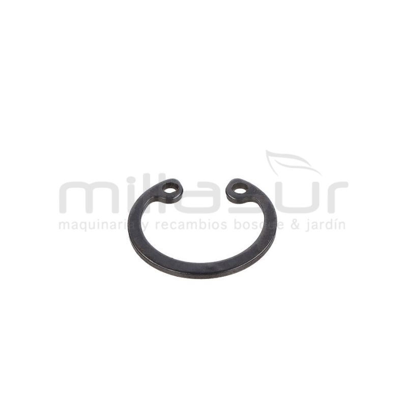 E-CLIP PRESILLA PIÑON CONICO TPB3002 2020 (27) - motoscamaralweb.com