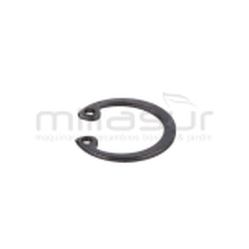 E-CLIP PRESILLA PIÑON CONICO TPB3002 2020 (27) - motoscamaralweb.com