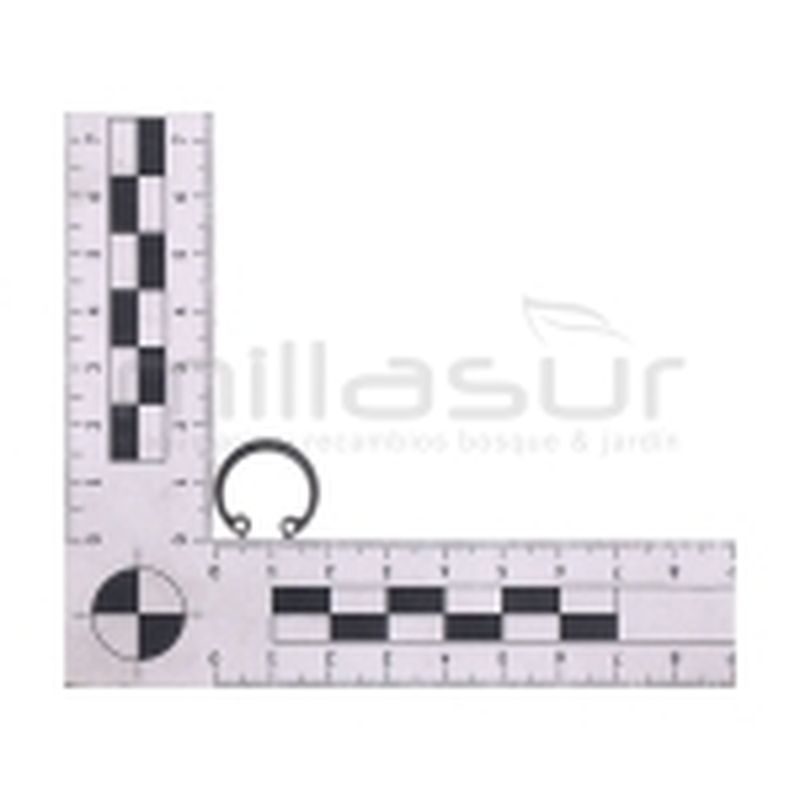 E-CLIP PRESILLA PIÑON CONICO TPB3002 2020 (27) - motoscamaralweb.com