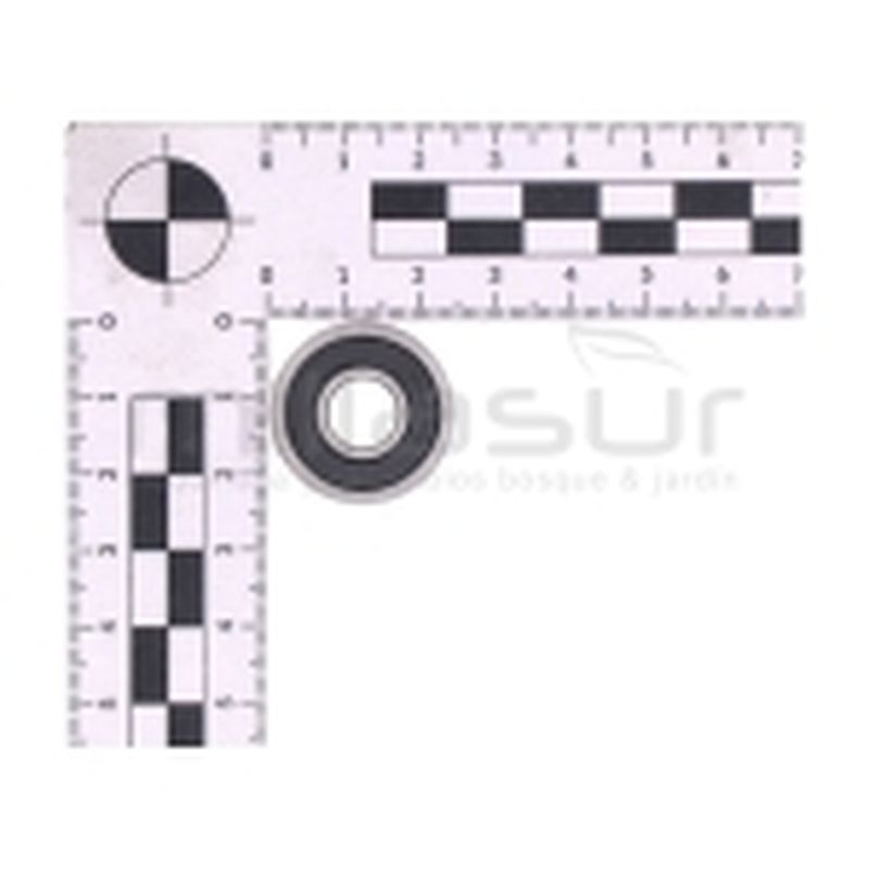 RODAMIENDO PIÑON 609 TPB4503 (17) - motoscamaralweb.com