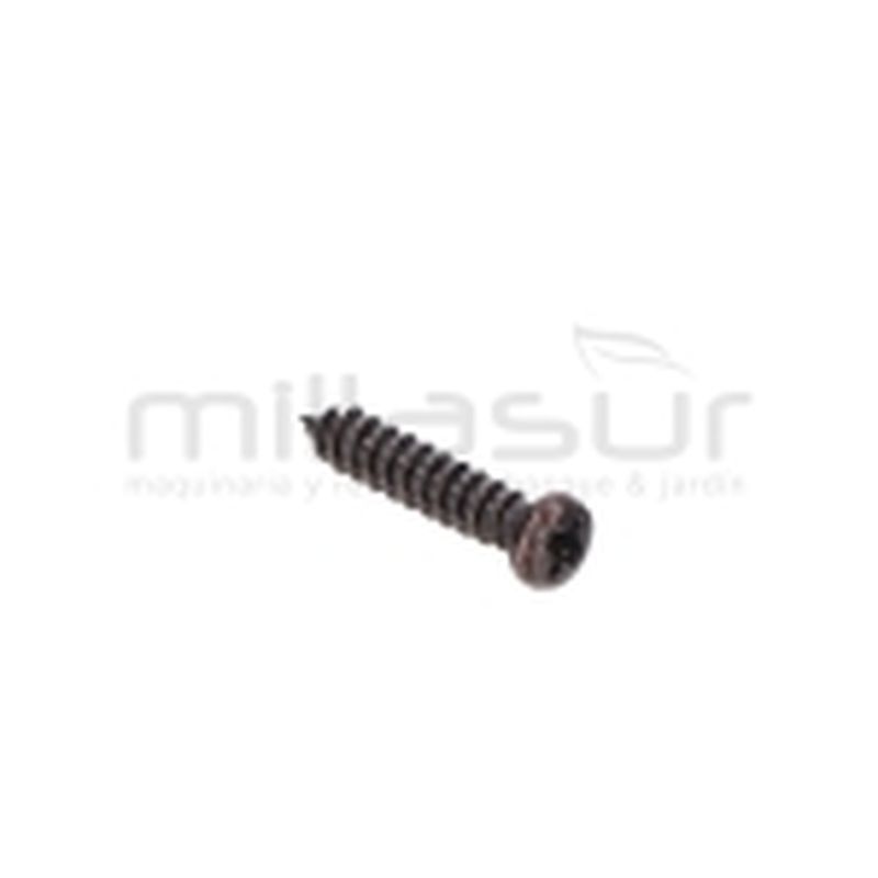 TORNILLO TAPA SUPERIOR 2.5X12 TPB4503 (22) - motoscamaralweb.com