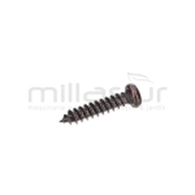 TORNILLO TAPA SUPERIOR 2.5X12 TPB4503 (22) - motoscamaralweb.com