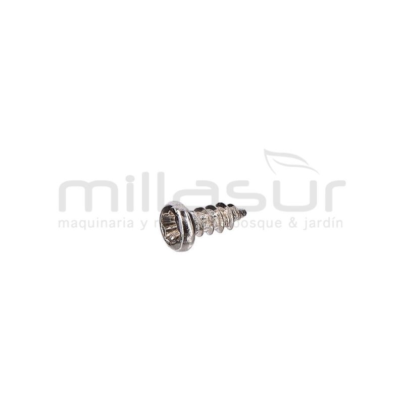 TORNILLO PLACA INTERRUPTOR TPB4503 (25) - motoscamaralweb.com
