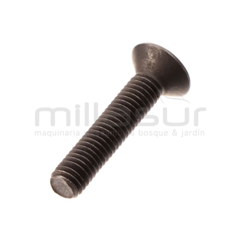 TORNILLO SUJECION SOPORTE REDUCTORA TPB4506 (26) - motoscamaralweb.com