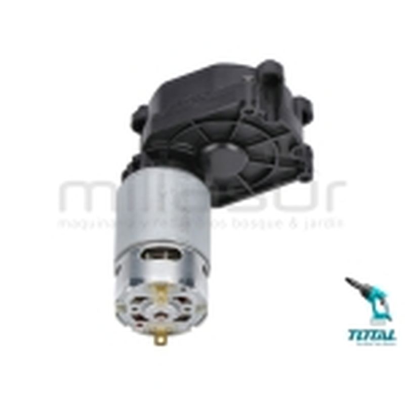 MOTOR ELÉCTRICO TPWLI20084 (6) - motoscamaralweb.com