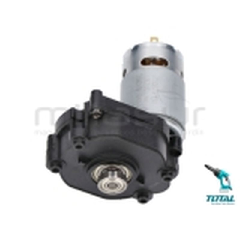 MOTOR ELÉCTRICO TPWLI20084 (6) - motoscamaralweb.com