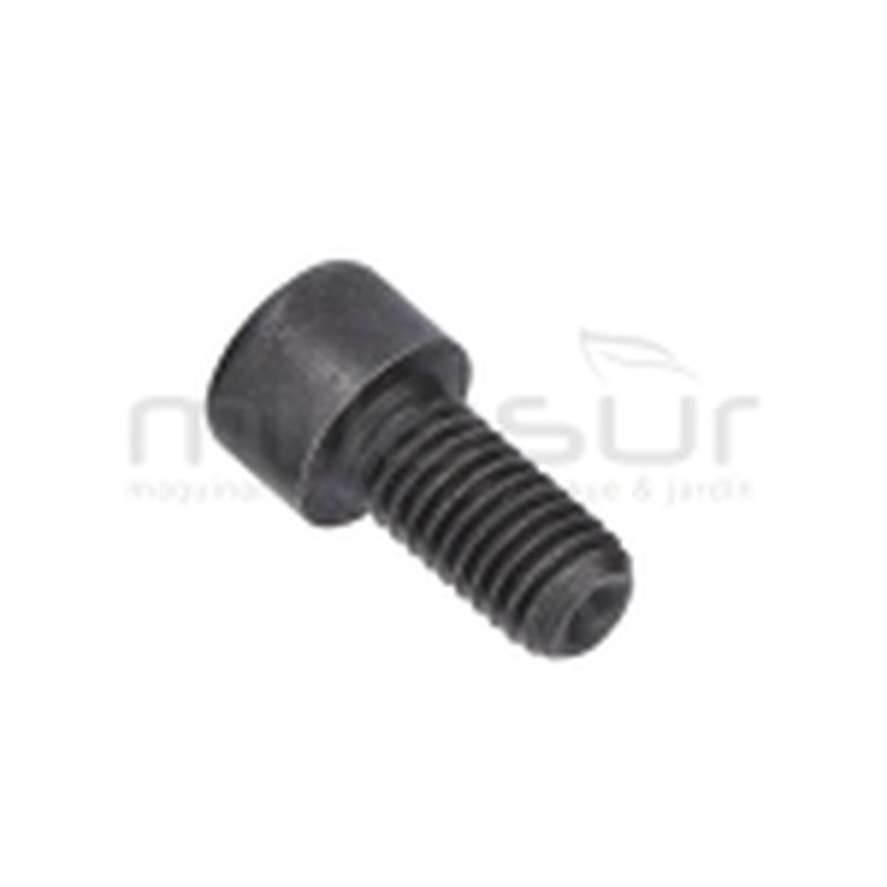 TORNILLO APRIETE DISCO SIERRA INGLETADORA TS42142101 ( 65) - motoscamaralweb.com