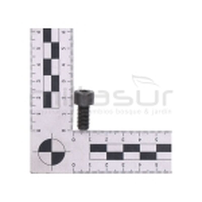 TORNILLO APRIETE DISCO SIERRA INGLETADORA TS42142101 ( 65) - motoscamaralweb.com