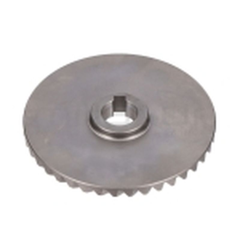 PIÑON GRANDE (23) - motoscamaralweb.com