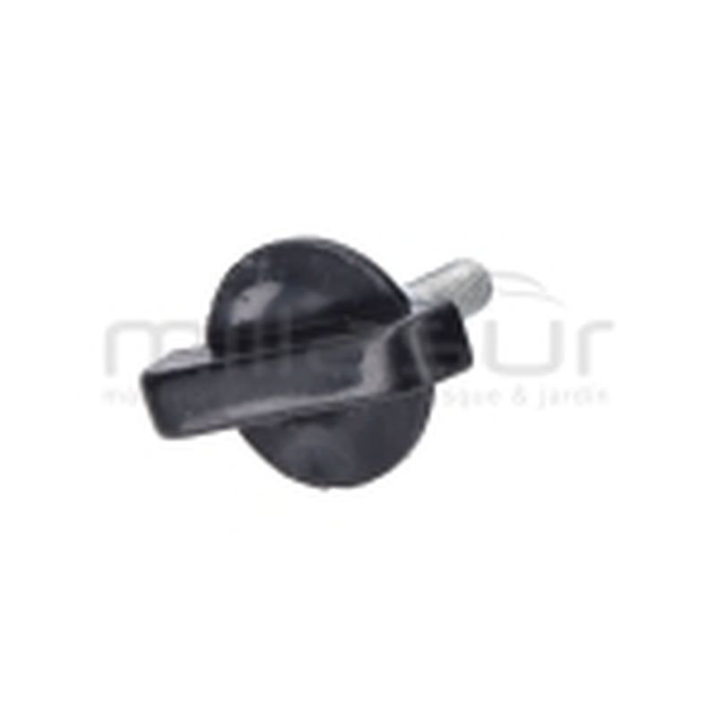 TORNILLO FILTRO AIRE VAREADORA VAR26C SG1C. SG2C (2013) (44) - motoscamaralweb.com