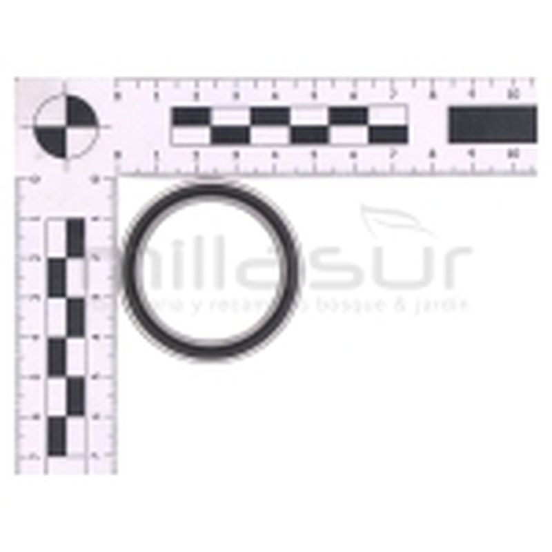 RODAMIENTO CENTRAL CABEZAL PEINE VAREADORA VAR26C (8) - motoscamaralweb.com