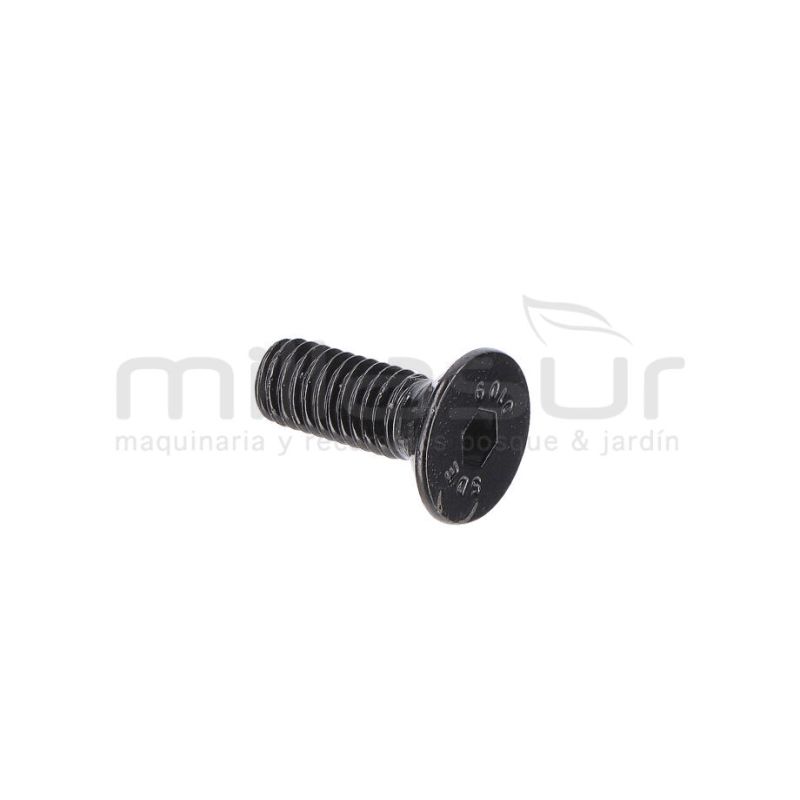 TORNILLO TAPA MOTOR M5X14 (2) - motoscamaralweb.com