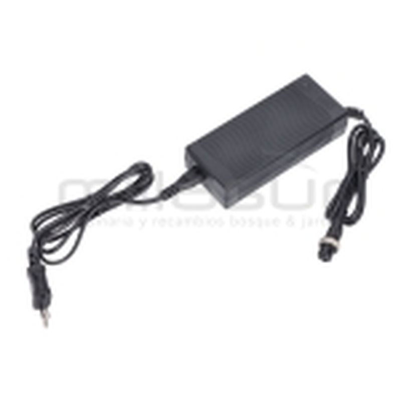 CARGADOR VAR300B 240V-2.5A 50/60hz - motoscamaralweb.com