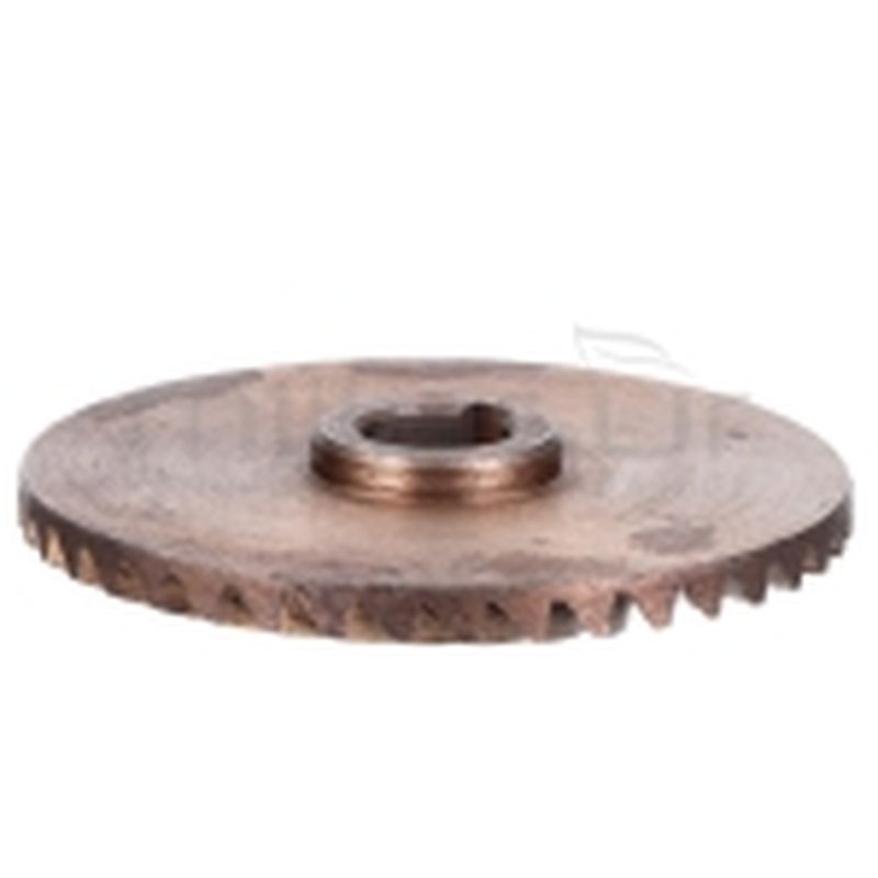 PIÑÓN INFERIOR PEINE VAREADORA VAR370 (23) - motoscamaralweb.com