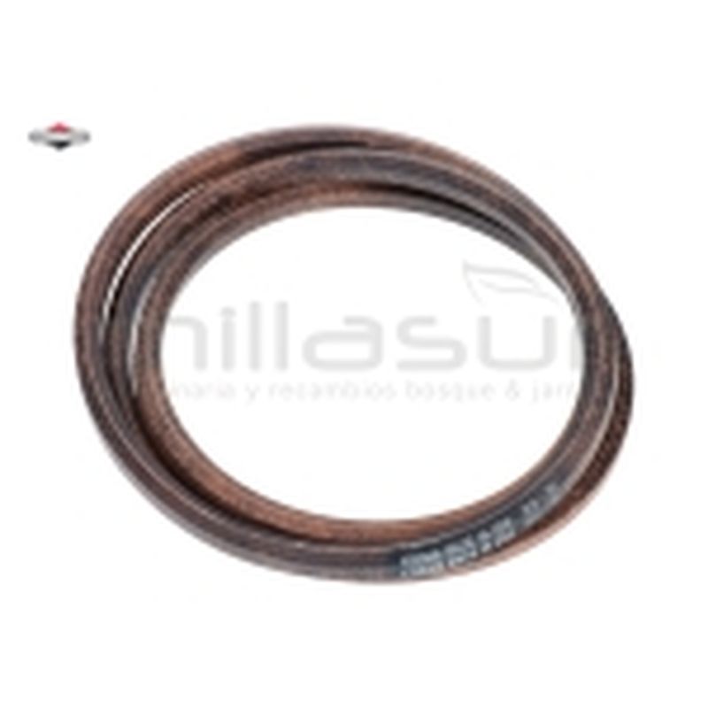 CORREA - motoscamaralweb.com