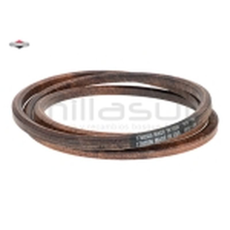 CORREA - motoscamaralweb.com