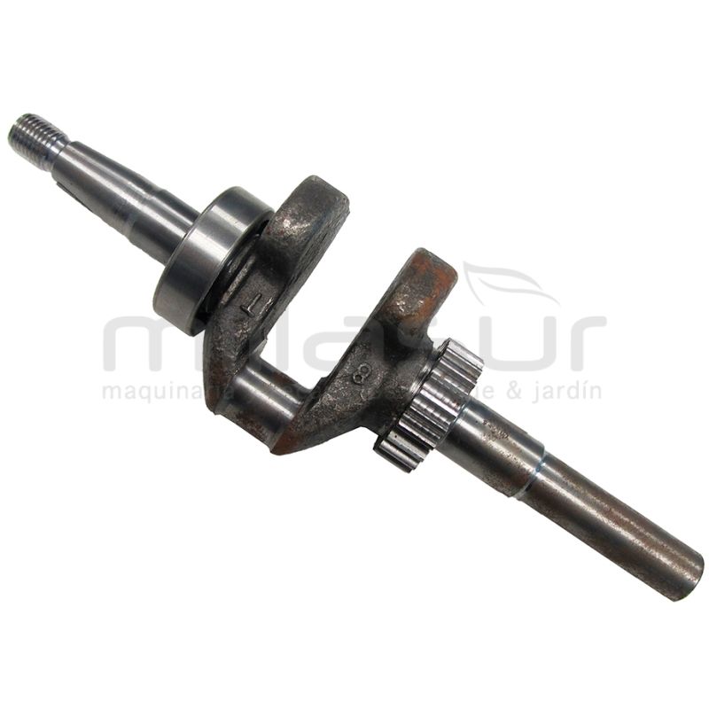 CIGÚEÑAL - motoscamaralweb.com