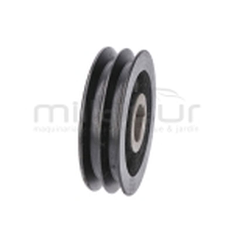 POLEA TAMBOR BIO70S (4) - motoscamaralweb.com