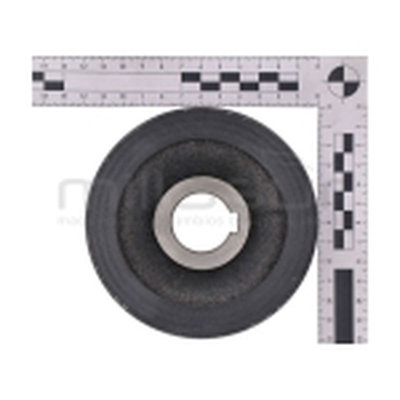 POLEA TAMBOR BIO70S (4) - motoscamaralweb.com