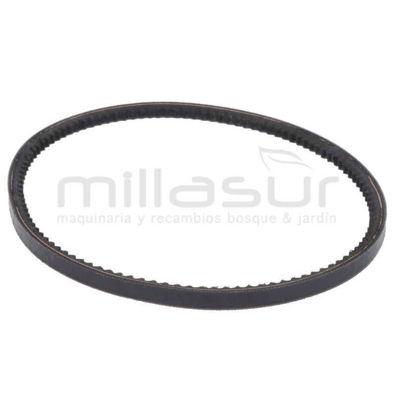 CORREA MC360 (12) - motoscamaralweb.com