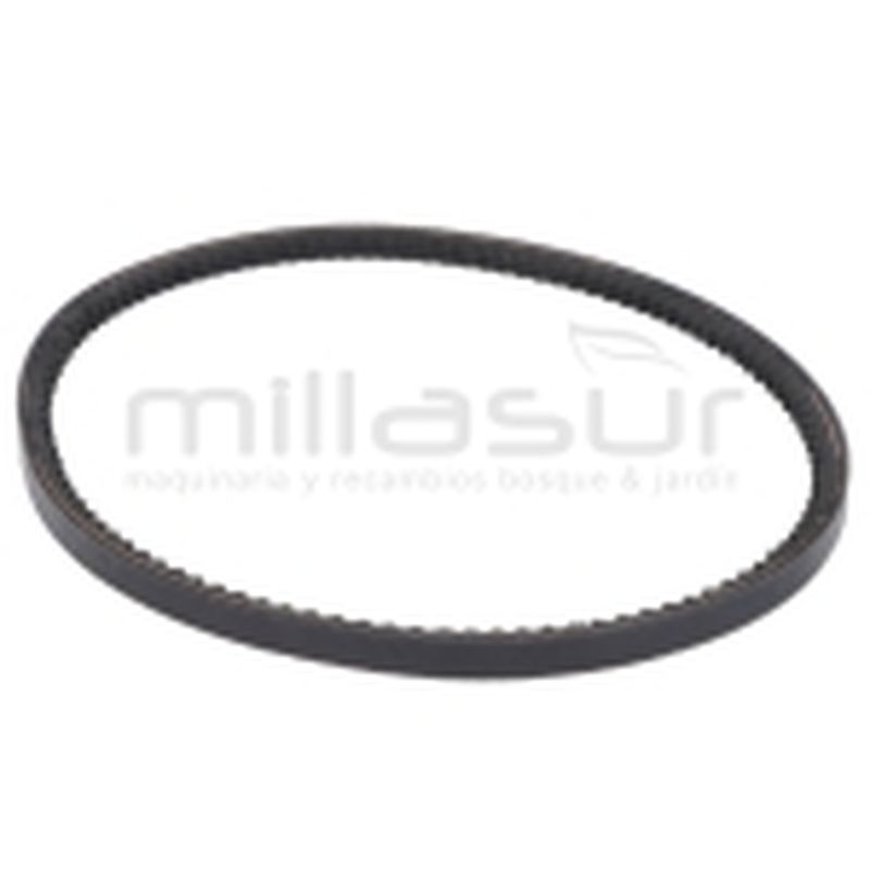 CORREA MC360 (12) - motoscamaralweb.com