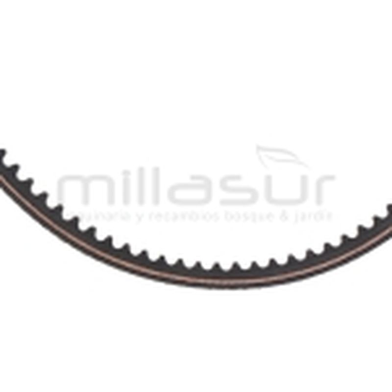 CORREA MC360 (12) - motoscamaralweb.com