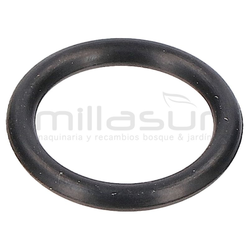 JUNTA TORICA 1.78x10.82 (15) - motoscamaralweb.com