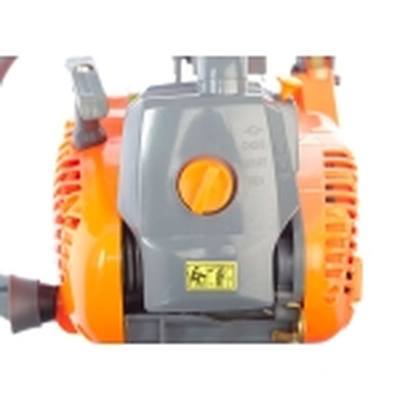 MOTOSIERRA ANOVA PLUS - PODA 25.4 CC - motoscamaralweb.com