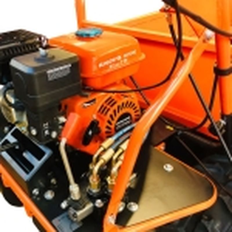 CARRETILLA ORUGAS 7HP 500KG ANOVA - 3+1 MARCHAS - motoscamaralweb.com