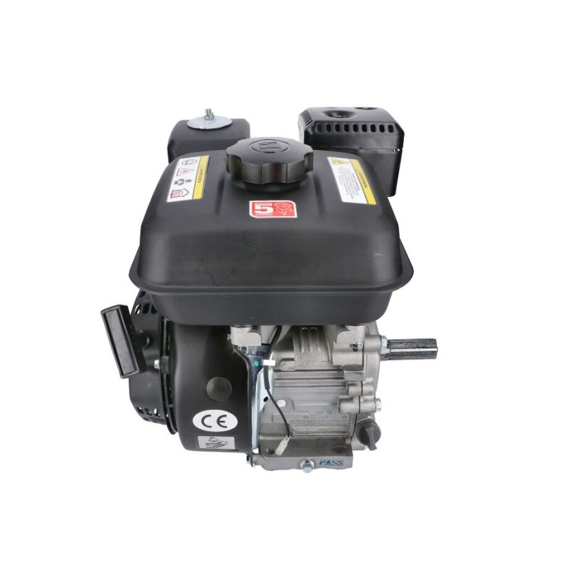 MOTOR HORIZONTAL 8HP 4.6kW 223cc - DM600 - motoscamaralweb.com