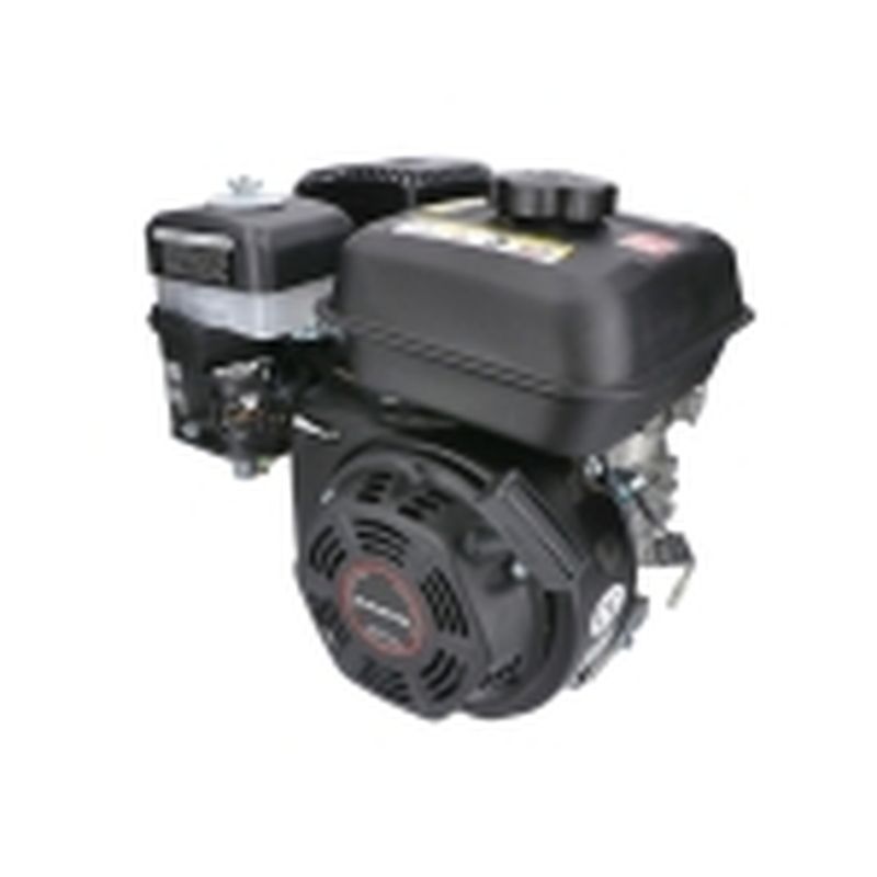 MOTOR HORIZONTAL 8HP 4.6kW 223cc - DM600 - motoscamaralweb.com