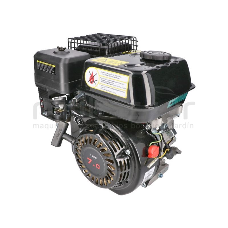 MOTOR COMPLETO 7CV RLT12GVH (49). BIO70 (24) - motoscamaralweb.com