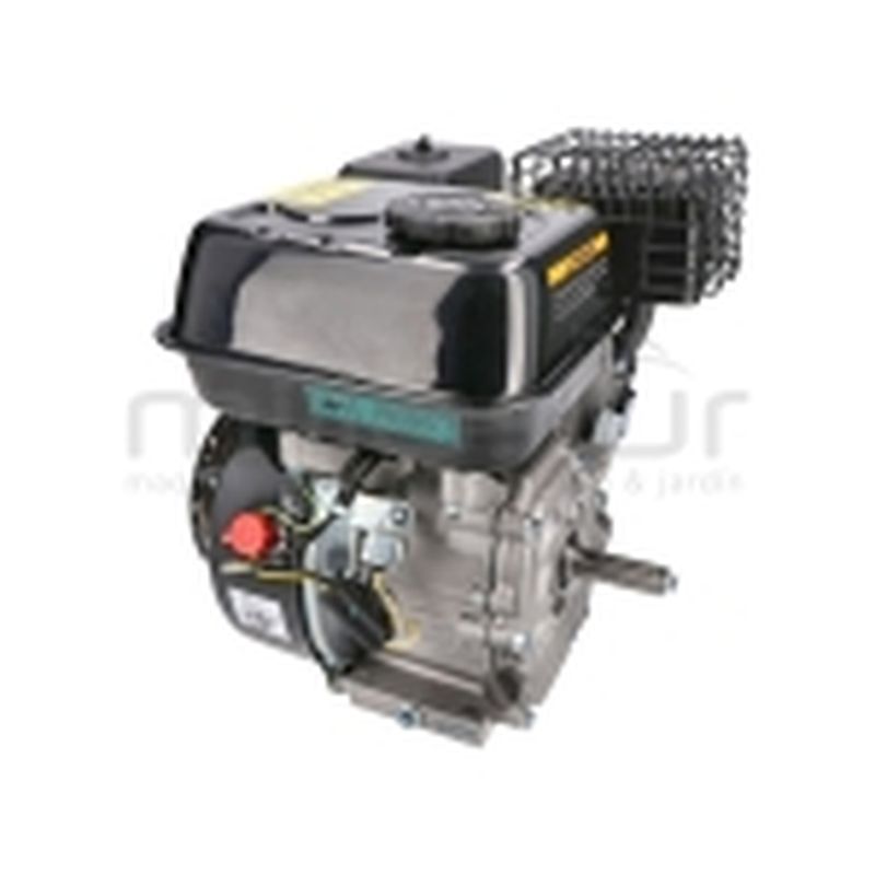 MOTOR COMPLETO 7CV RLT12GVH (49). BIO70 (24) - motoscamaralweb.com