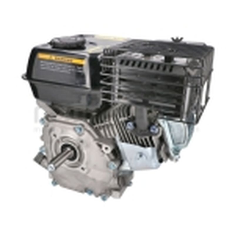 MOTOR COMPLETO 7CV RLT12GVH (49). BIO70 (24) - motoscamaralweb.com
