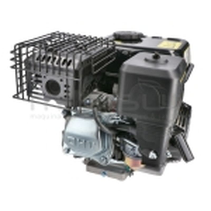 MOTOR COMPLETO 7CV RLT12GVH (49). BIO70 (24) - motoscamaralweb.com