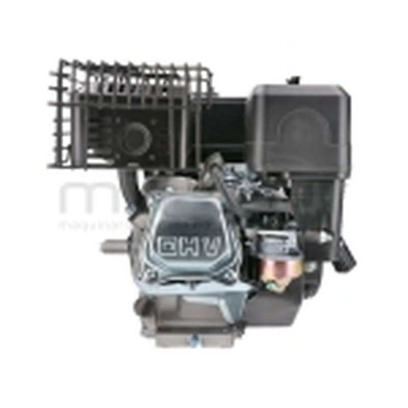 MOTOR COMPLETO 7CV RLT12GVH (49). BIO70 (24) - motoscamaralweb.com