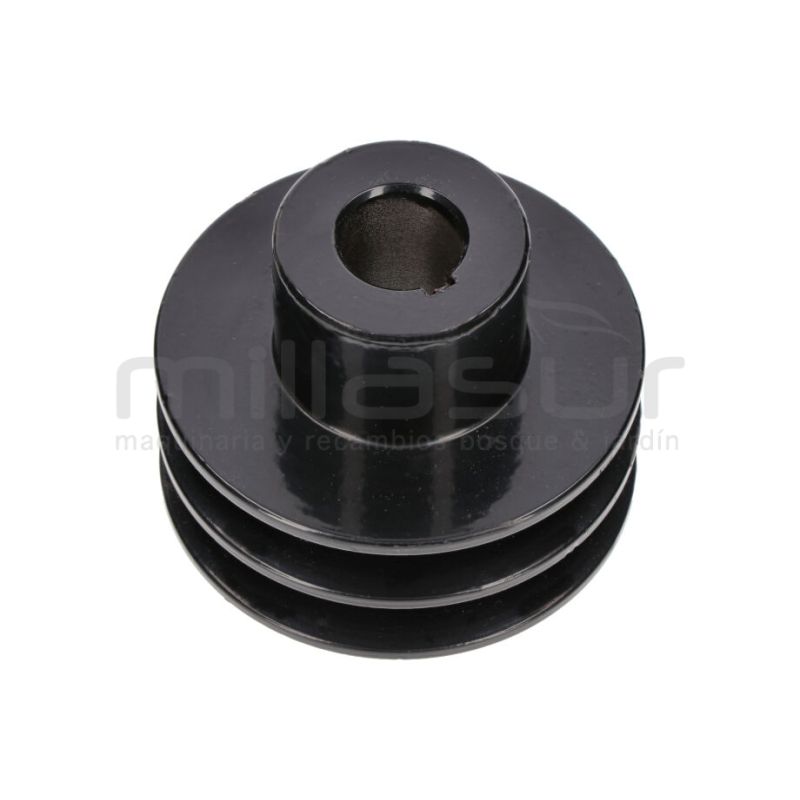 POLEA SALIDA MOTOR BIO150VR (42) - motoscamaralweb.com