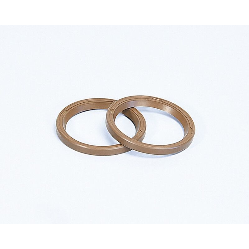 RETENES Variador Polini MAXI SCOOT.D.31 (242037) - motoscamaralweb.com
