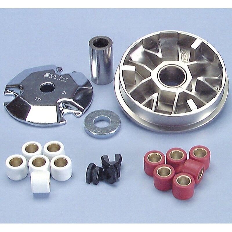 Variador Polini MALAGUTI F12 (2000) (241361) - motoscamaralweb.com