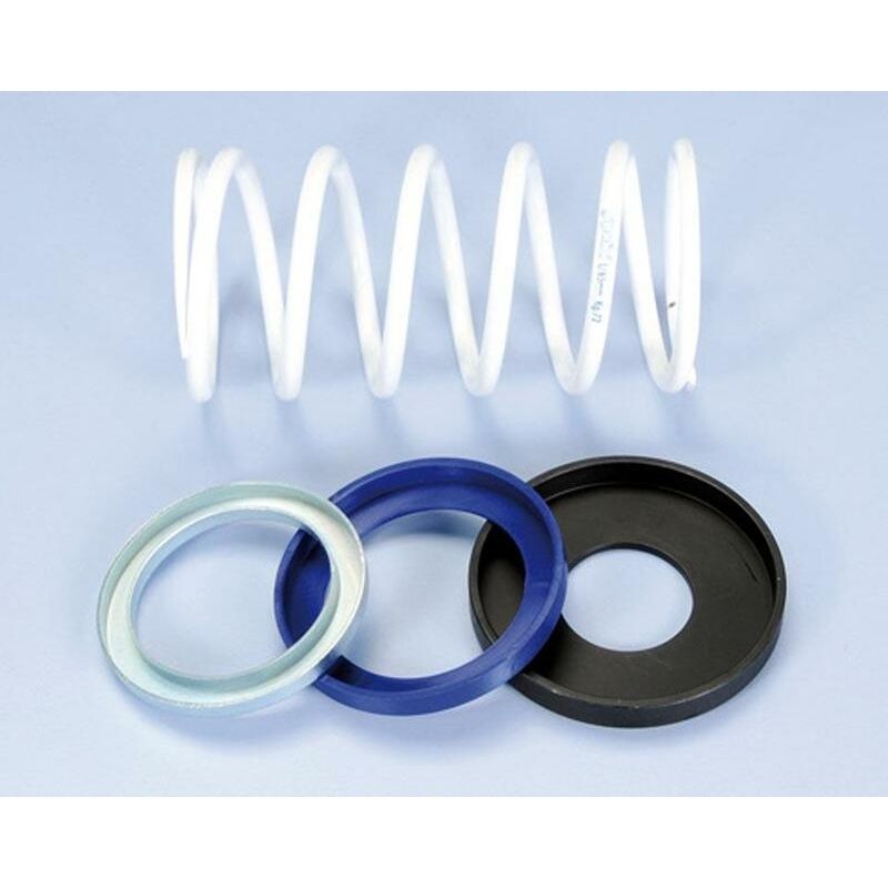 Muelle de contraste POLINI EVO-SLIDER T-MAX500 (243098) - motoscamaralweb.com