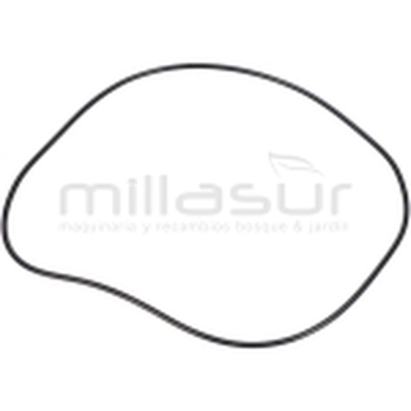 JUNTA TAPA CUERPO BOMBA (3) - motoscamaralweb.com