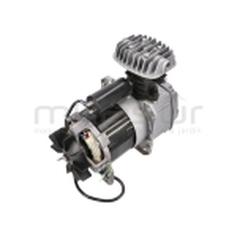 MOTOR COMPLETO CON BOMBA CA24. CA50 (31) (2HP - 2019) - motoscamaralweb.com