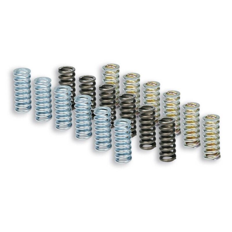 Kit de muelles de embrague MALOSSI Racing para embrague original - motoscamaralweb.com
