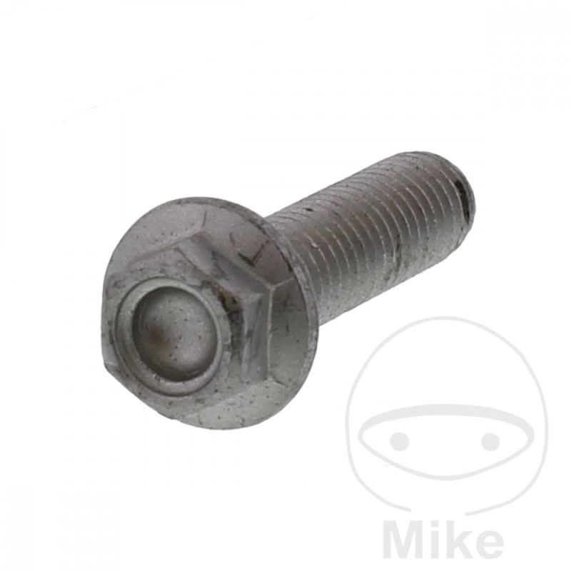 Tornillo Corona Moto OEM M8x1.25x30 | Rec. Original | Motos Camaral