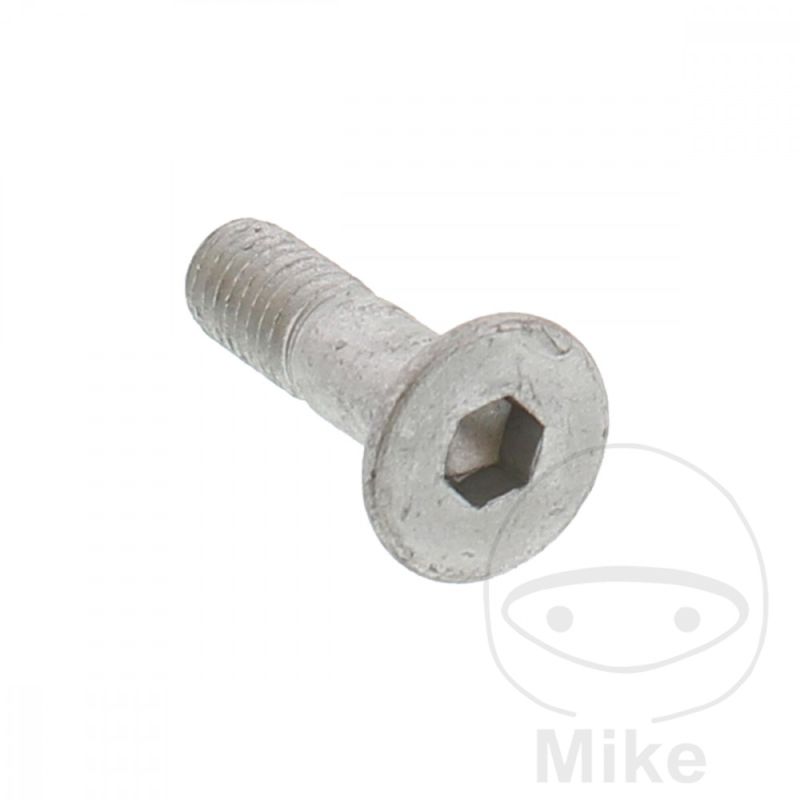 Tornillo Avellanado OEM M8x1.25x25 | Recambio Original | Motos Camaral