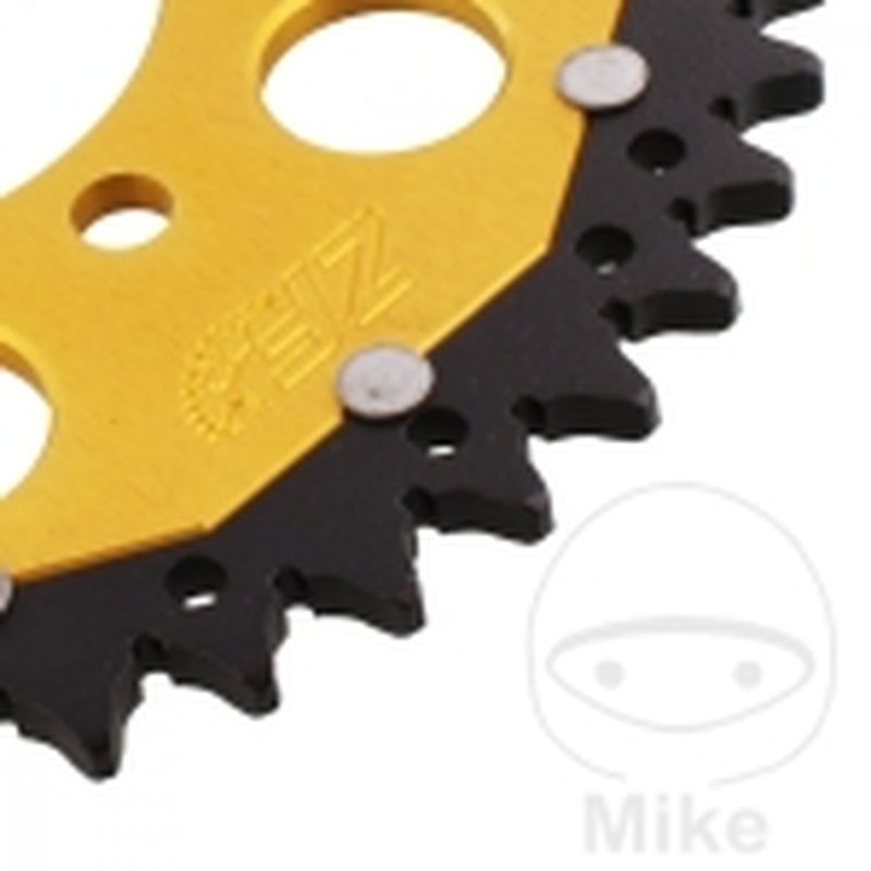 Corona ZF Dual 43 Dientes Paso 520 Dorada | Motos Camaral